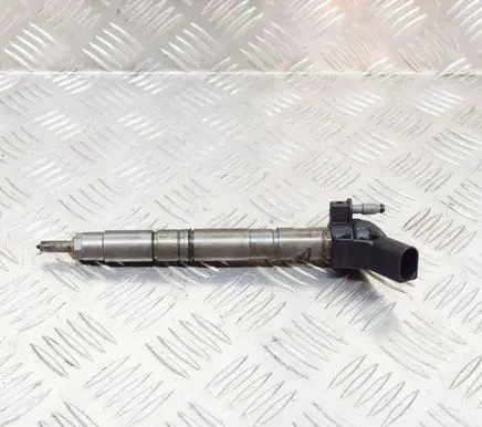 Porsche Cayenne (9Y0 9Y3) Fuel injector 057130 0445117
