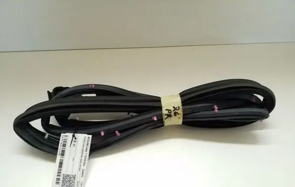 Nissan Juke I F15 Front door rubber seal 
