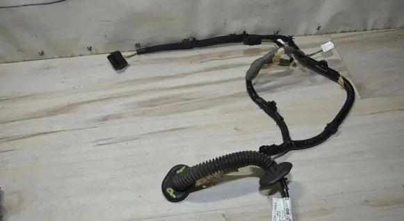 Rear door wiring loom