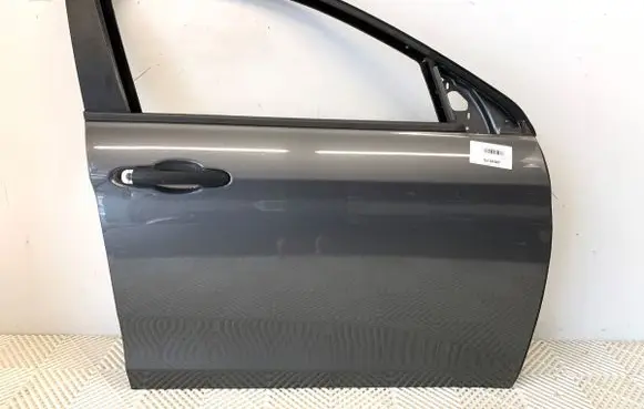 Fiat Tipo Front door 695A