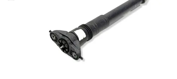 Citroen C4 III e-C4 Rear shock absorber/damper 9847556380 48882