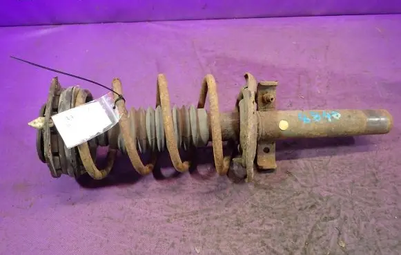 Renault Megane II Front shock absorber with coil spring