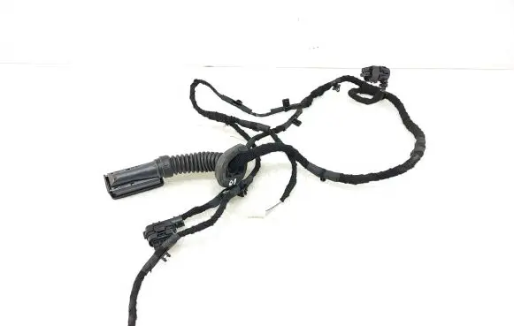 BMW i4 Rear door wiring loom