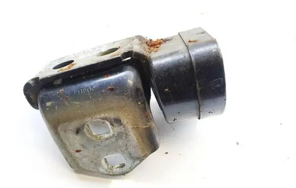 Renault Scenic II - Grand scenic II Rear door lower hinge 33888