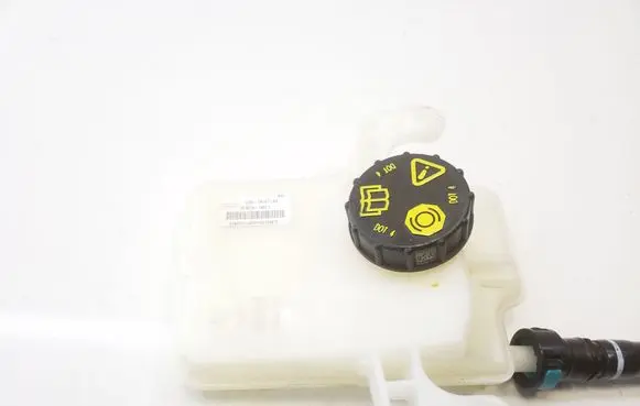 Ford Mustang Mach-E Brake fluid reservoir LJ9C2N147BA