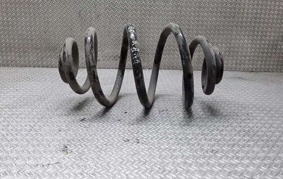 Volkswagen PASSAT B5 Rear coil spring