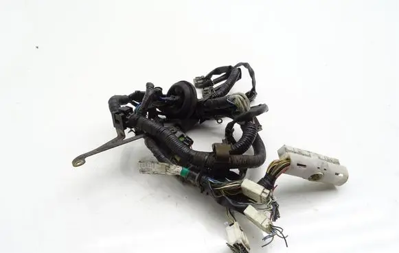 Front door wiring loom
