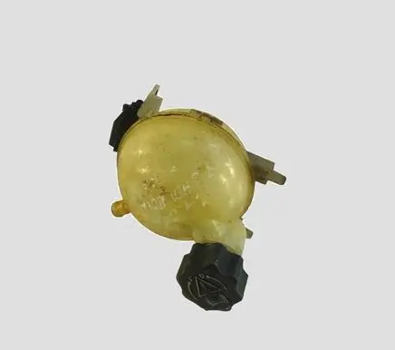 Citroen C4 I Coolant expansion tank/reservoir 9646902580 63299058 24504