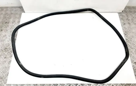 Volkswagen PASSAT B7 USA Rear door rubber seal (on body) 561867913