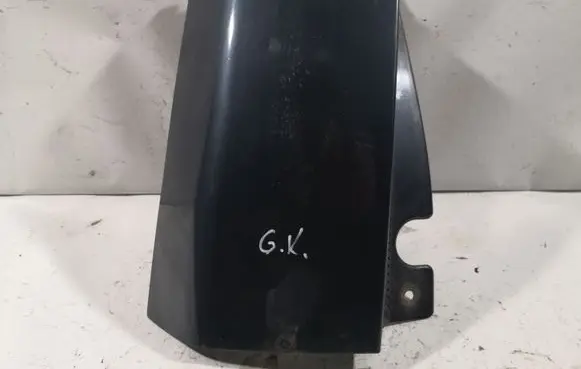 Rear/tail light trim molding