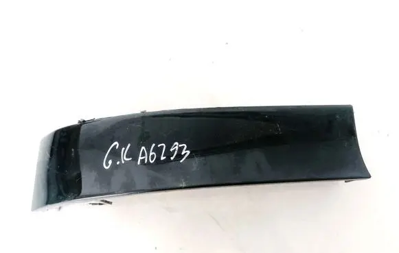 Rear/tail light trim molding