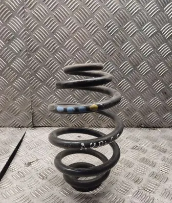 Rear coil spring