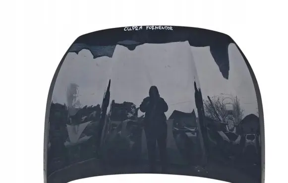 Cupra Formentor Engine bonnet/hood