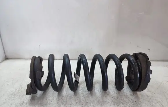 Rear coil spring