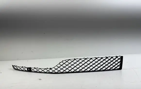 Bentley Bentayga Front bumper lower grill 36A807676