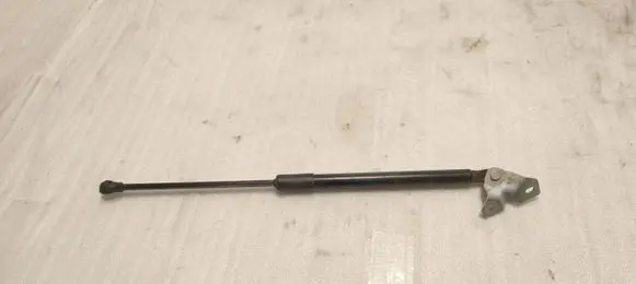 Dacia Sandero III Tailgate strut 904529961R