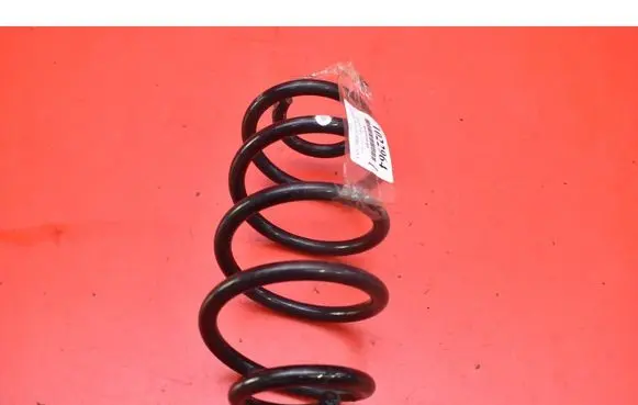 Rear coil spring