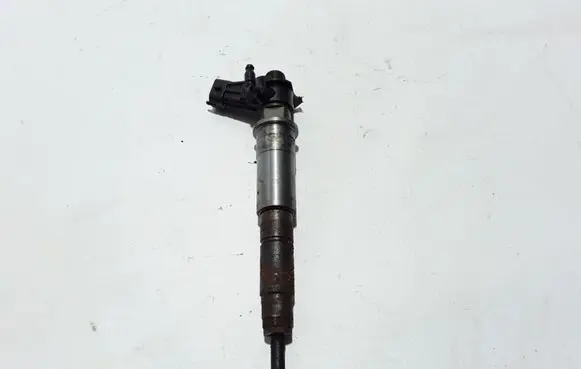 Renault Latitude (L70) Fuel injector 7701478969