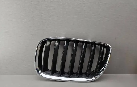 BMW X5 E53 Front bumper upper radiator grill 7113733 51137113733