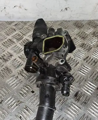Thermostat/thermostat housing