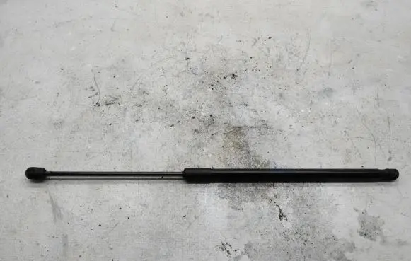 Tailgate strut