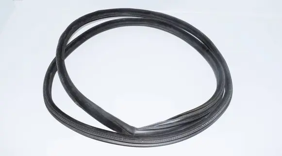 BMW X6 F16 Rubber seal rear door 7317822