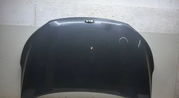 Engine bonnet/hood