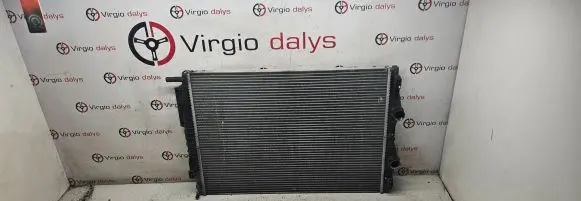 Renault Megane II Coolant radiator 8200325007 880478j