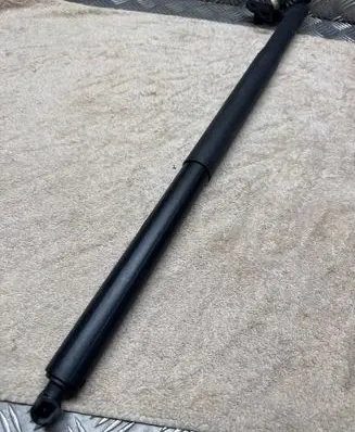 Tailgate/trunk strut/damper
