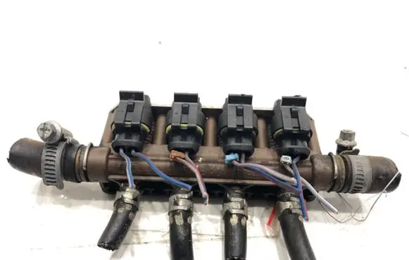 Volvo S80 LP gas injector 