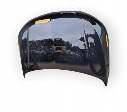 Opel Grandland X Engine bonnet/hood