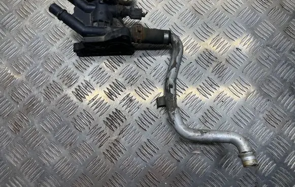 Thermostat/thermostat housing