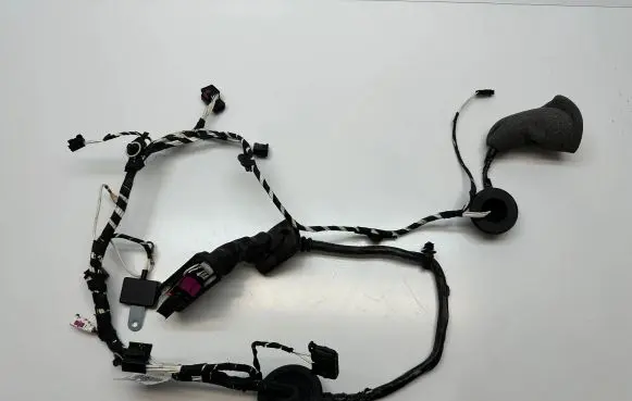 Volkswagen Amarok Front door wiring loom 2H3971120