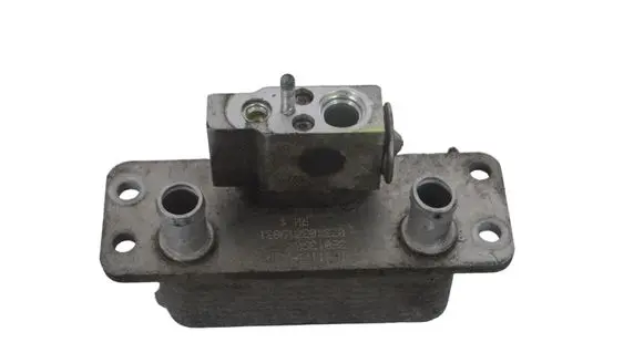 Citroen Jumper Hybrid/electric vehicle battery fan 101954100B