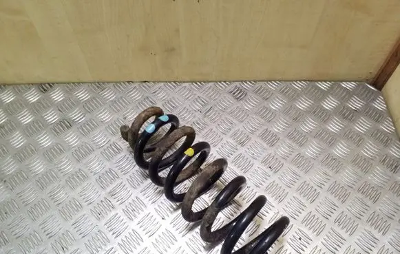 Front coil spring