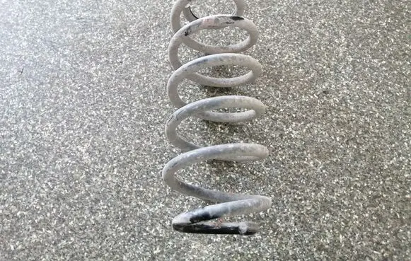 Toyota Urban Cruiser (XP110) Rear coil spring