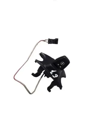 BMW X5 E70 Steering wheel adjustment switch 61316966710