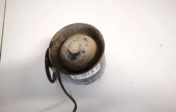 Alarm system siren