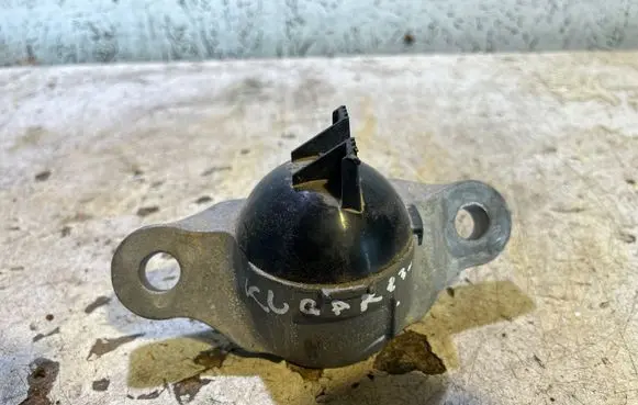 Ford Kuga III Rear shock absorber/damper LX6118A116BB