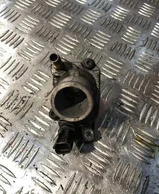 Thermostat/thermostat housing