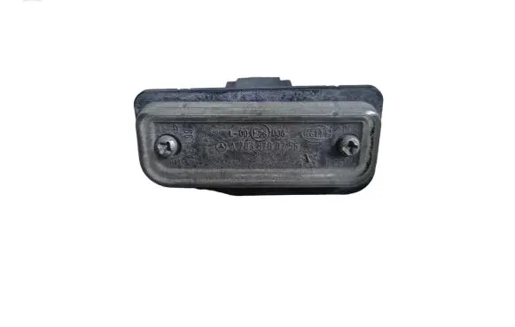 Mercedes-Benz E W211 Number plate light A2038200256