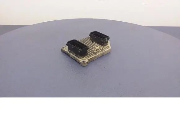 Engine control unit/module ECU