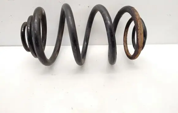 Renault Trafic III (X82) Rear coil spring