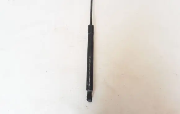 Renault Zoe Tailgate strut 904502915R