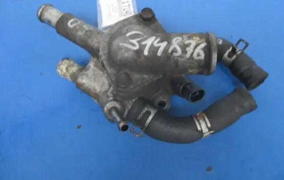 Thermostat/thermostat housing