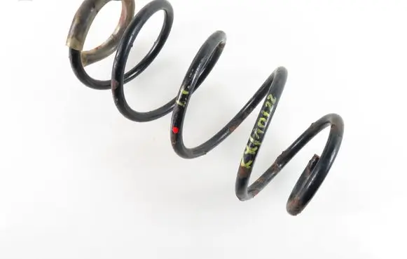 Opel Vectra C Front coil spring 