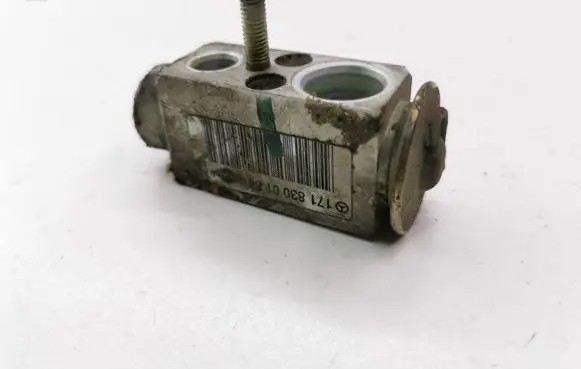 Mercedes-Benz B W245 Air conditioning (A/C) expansion valve 1718300184