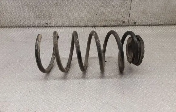 Rear coil spring