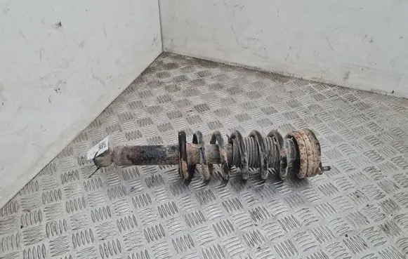 Subaru Outback Rear shock absorber/damper