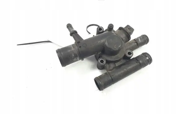 Thermostat/thermostat housing
